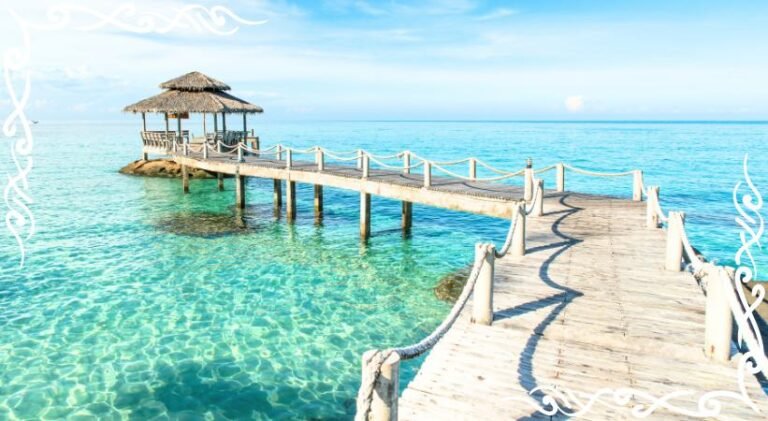 phuket happiness trips turtle village